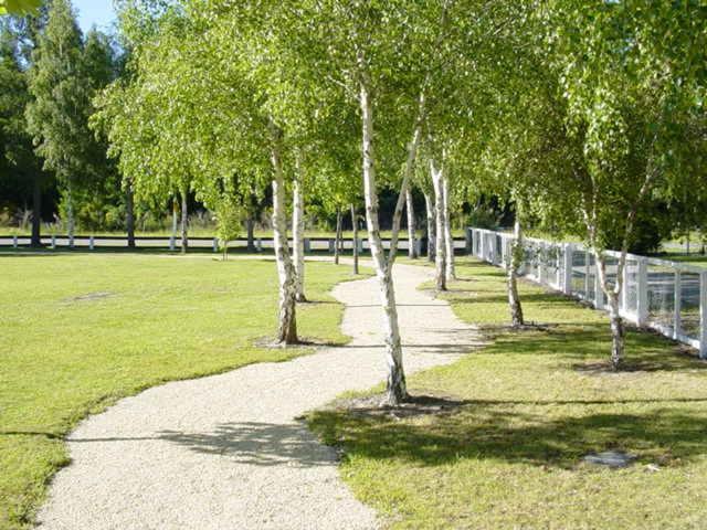 Hanmer Springs Forest Camp Trust Luaran gambar
